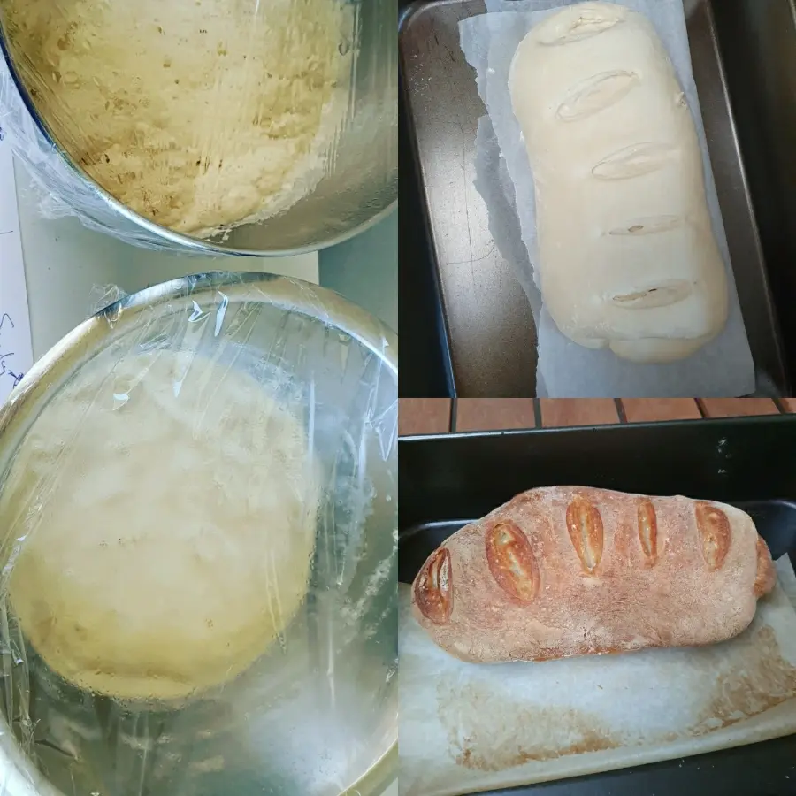 creation thumb for Life of bread