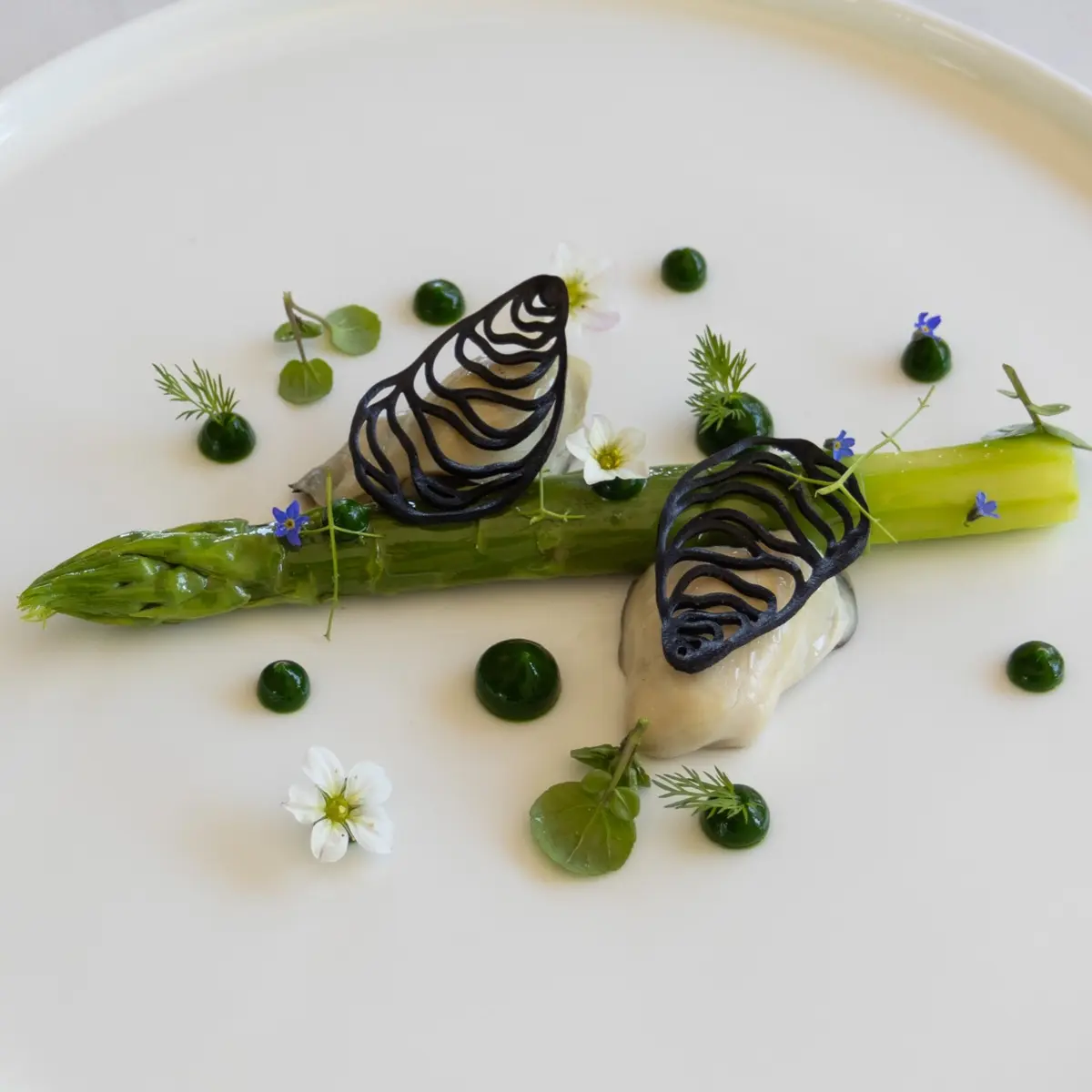 creation thumb for Grilled Gillardeau Oysters/Asparagus, Herb Gel/Turbot Dashi