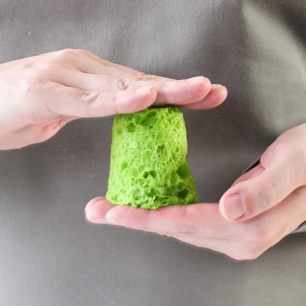 creation thumb for Kräuter Sponge