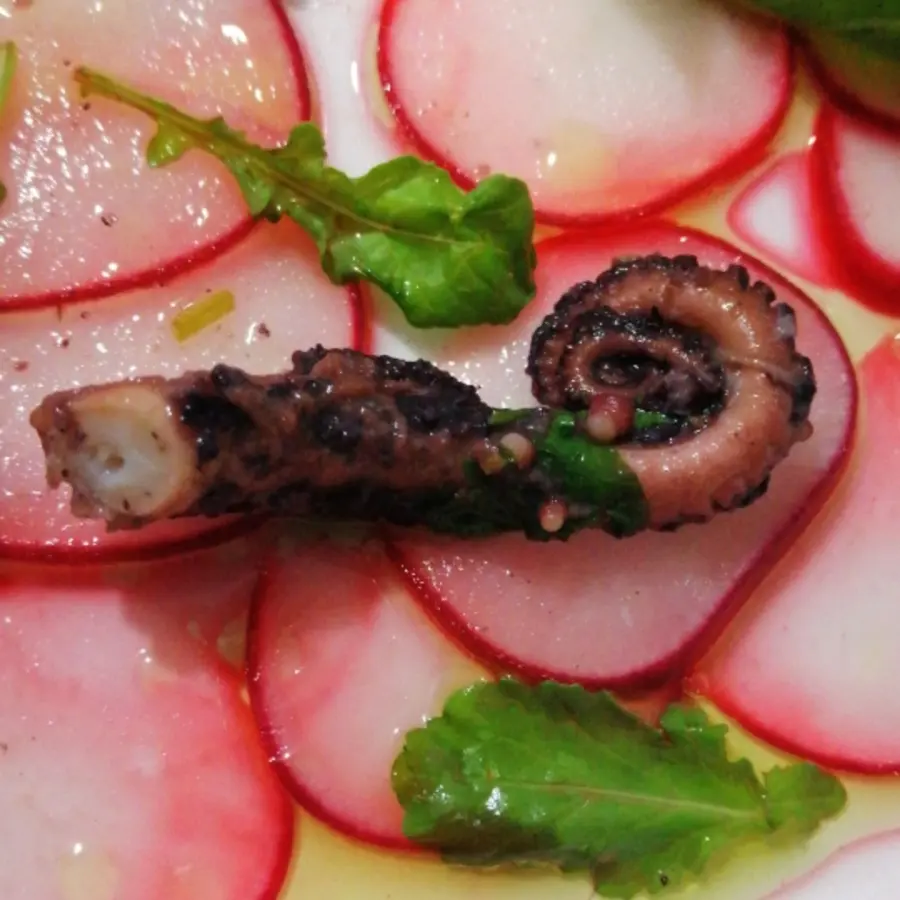 creation thumb for Octopus in pan
