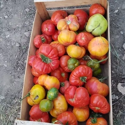 creation thumb for From the garden to the plate