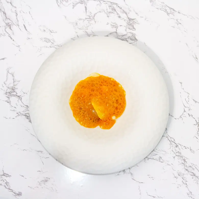 creation thumb for Scallop – Celeriac – Havtorn