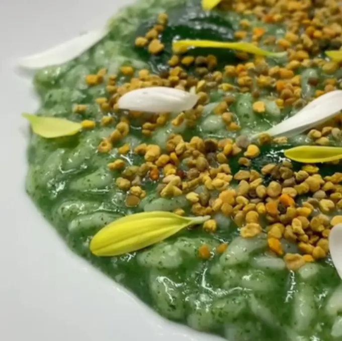 creation thumb for Nettle Risotto with Pollen and Raspberry Vinegar