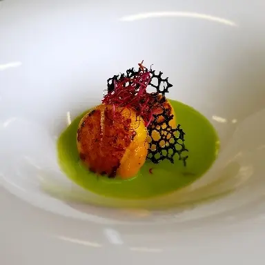 creation thumb for Jakobsmuscheln, Erbsensauce, Tintenfischkrümel und Rote-Bete-Sprossen