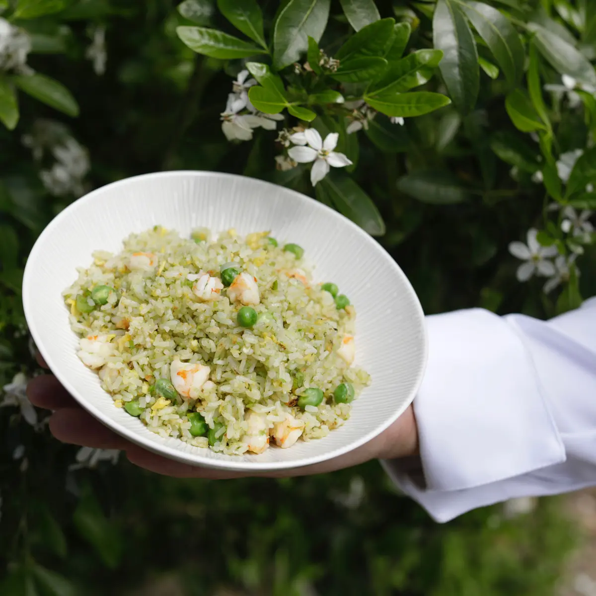 creation thumb for Jade Fried Rice