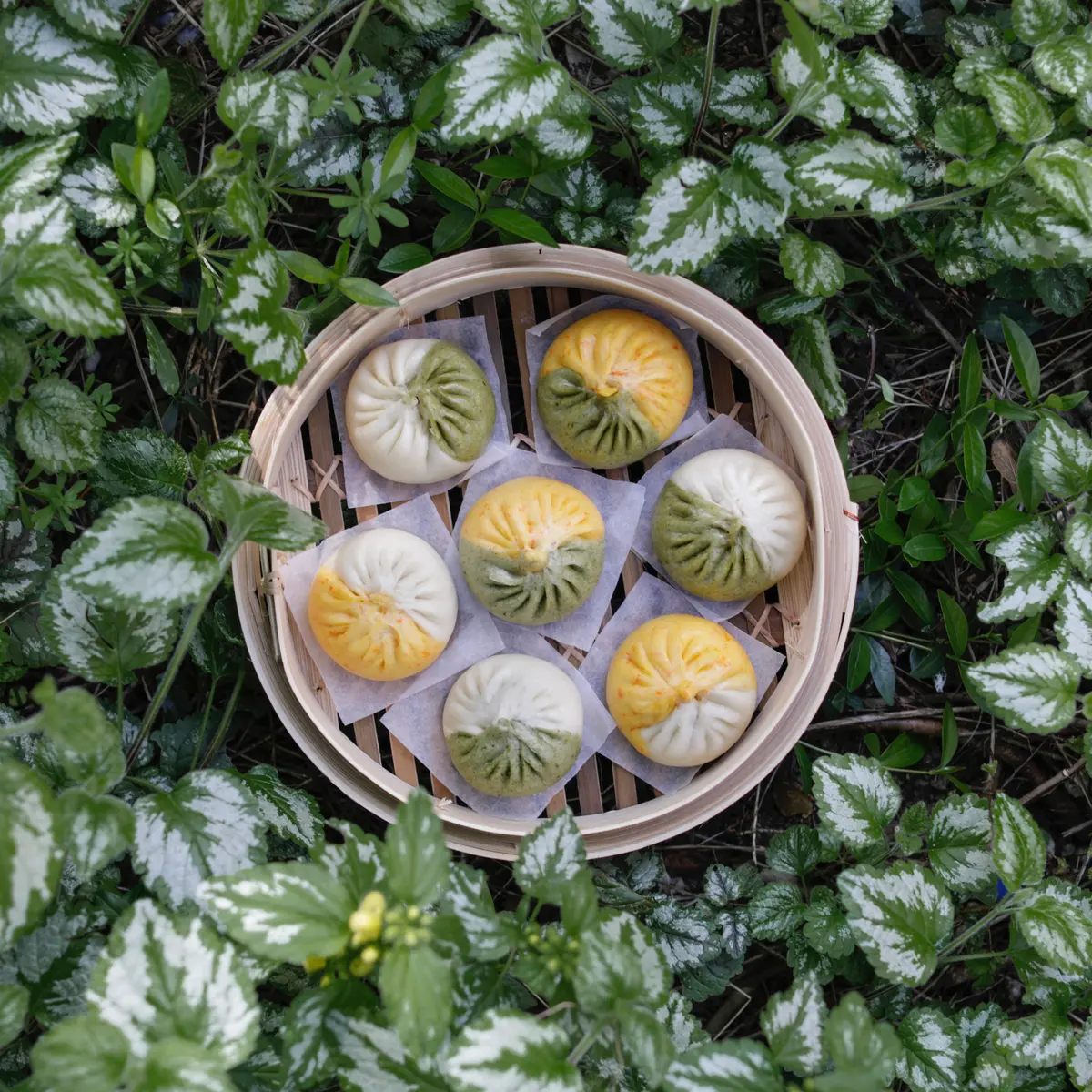 creation thumb for Bao fermentation tips
