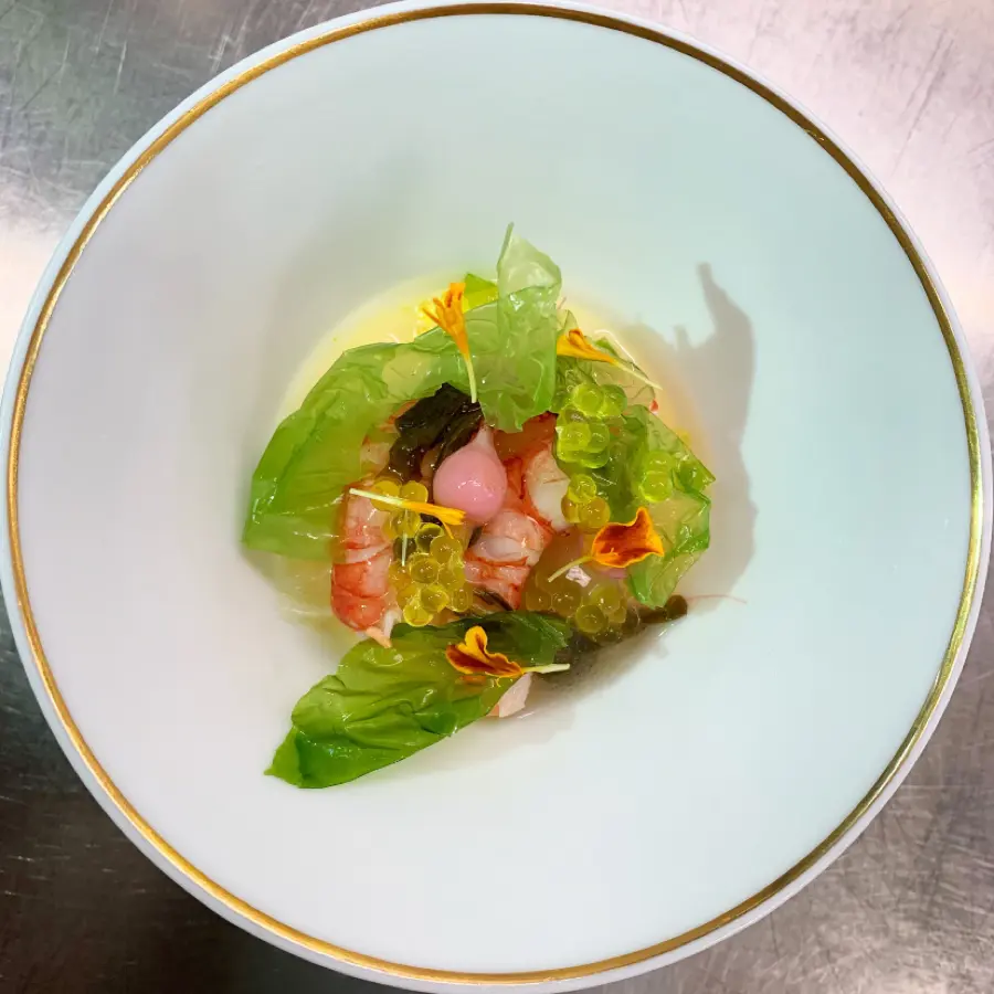 creation thumb for Scarlet prawn, dashi broth, tsukemono, pink shrimp