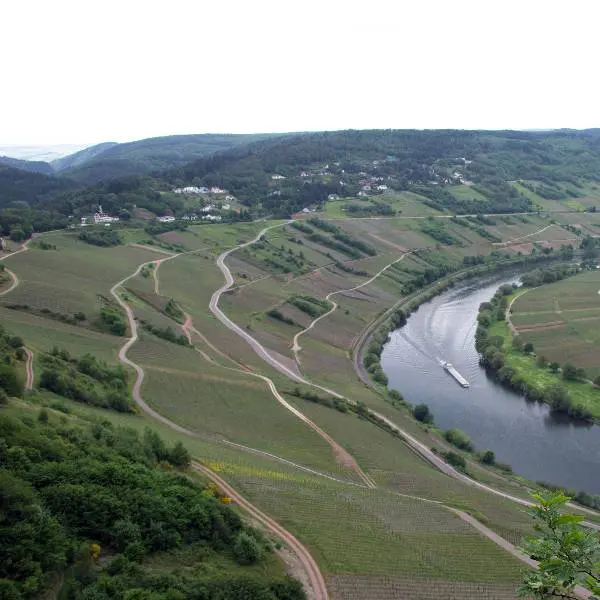 creation thumb for Besonderheiten der Weinregion Mosel