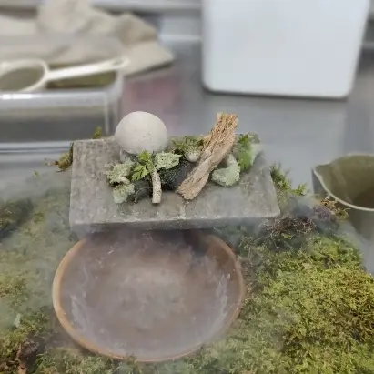 creation thumb for Mushroom appetizer