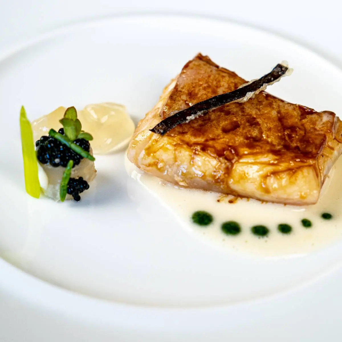 creation thumb for Lubina - sea bass, cream of tubers and seaweed