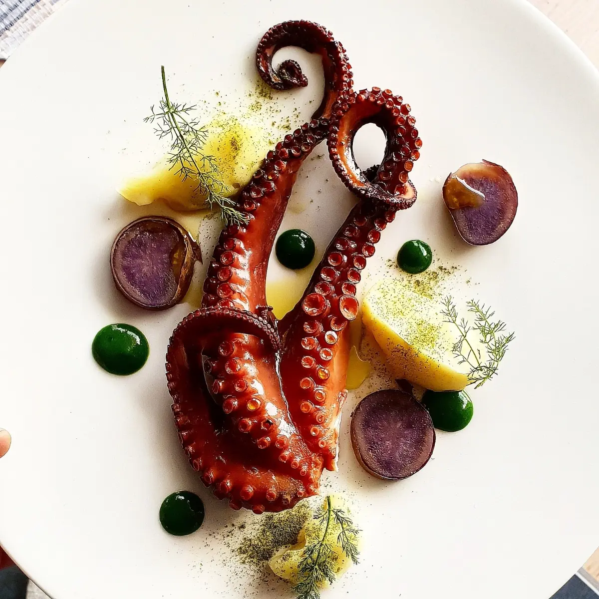creation thumb for Octopus