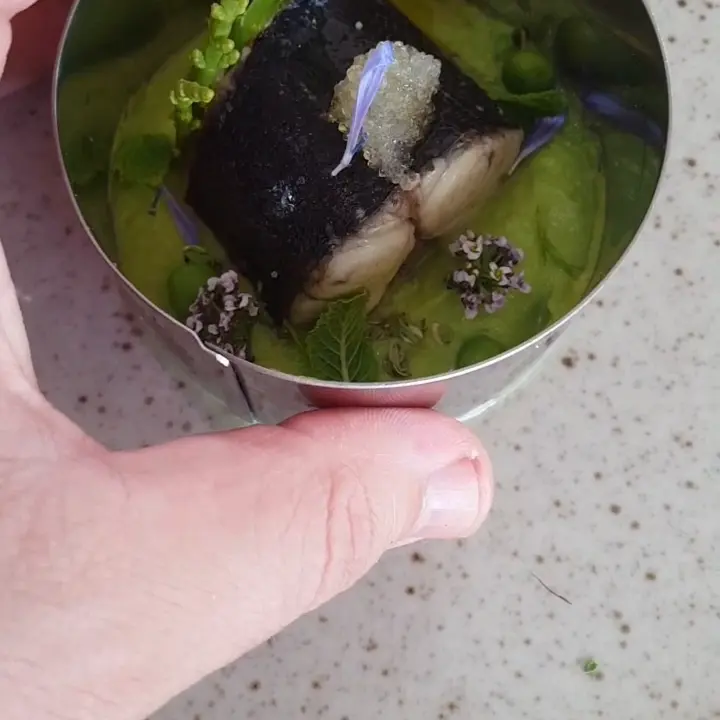 creation thumb for -Baracuda•pea puree•mint-