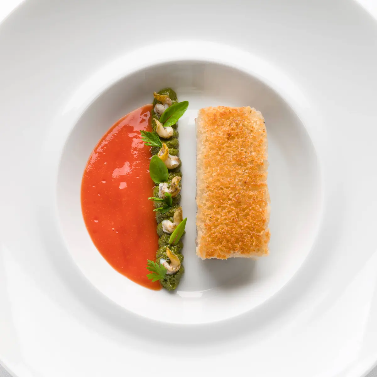 creation thumb for Re Dentice in Crosta di Lardo, Pesto di Finocchi di Mare e Salsa al Peperoncino