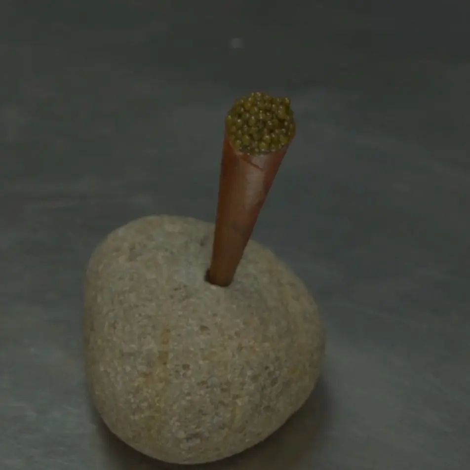 creation thumb for Tamarind Cone