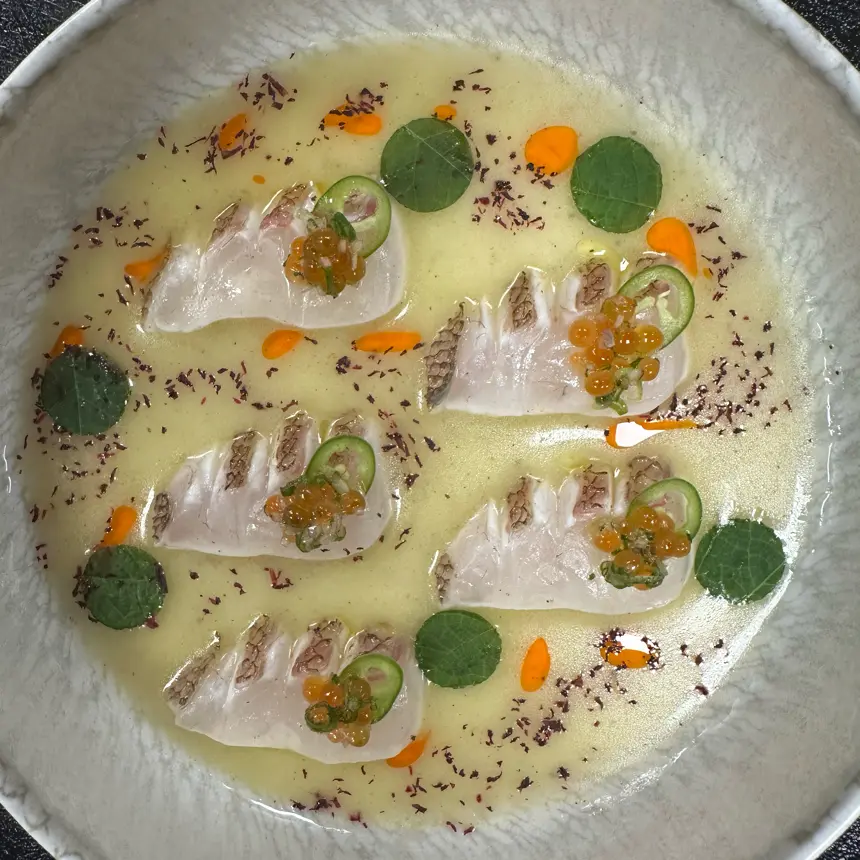 creation thumb for Red Snapper Tiradito