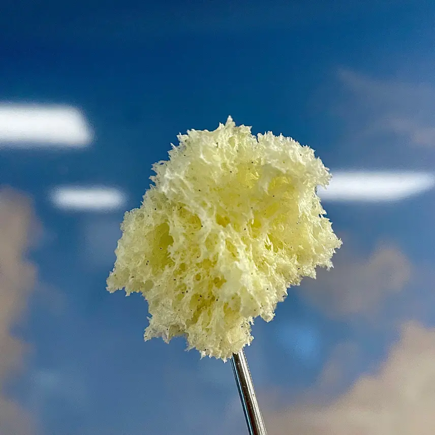 creation thumb for Vanilla Spongecake