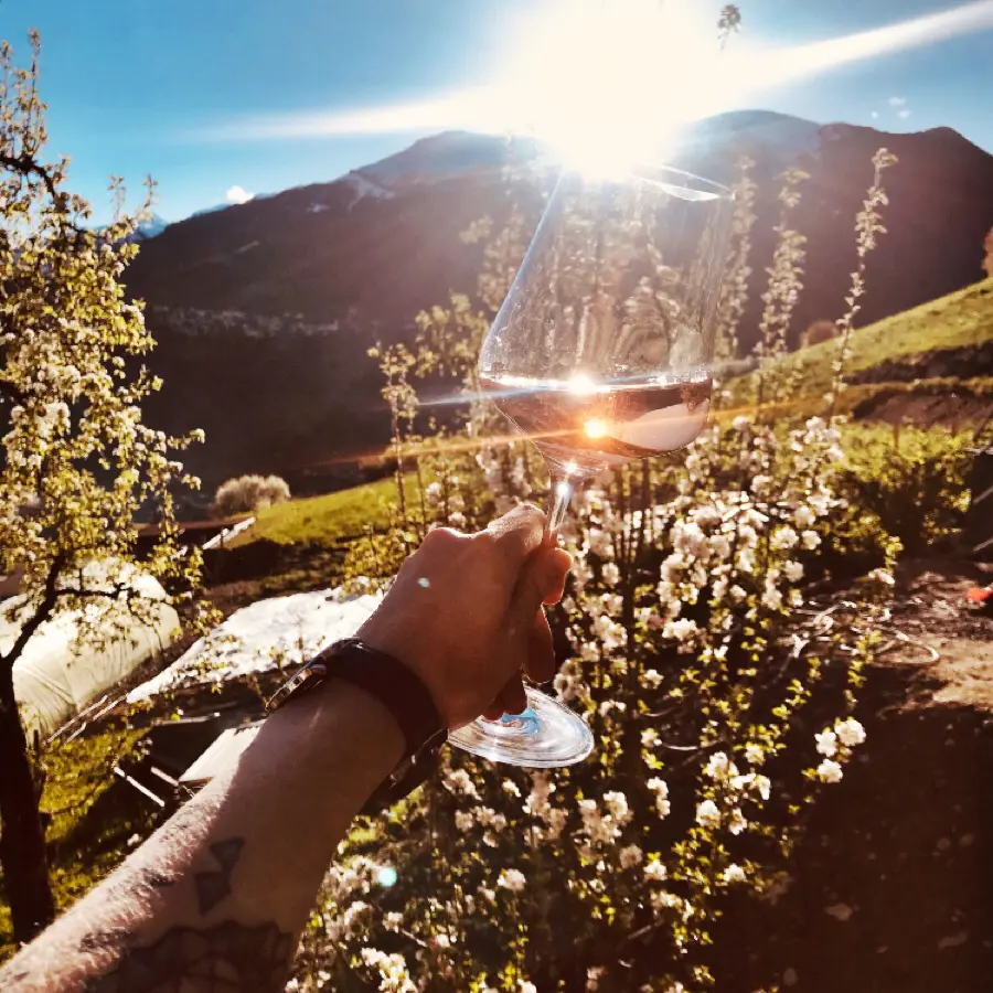 creation thumb for A Rosé Lovestory.