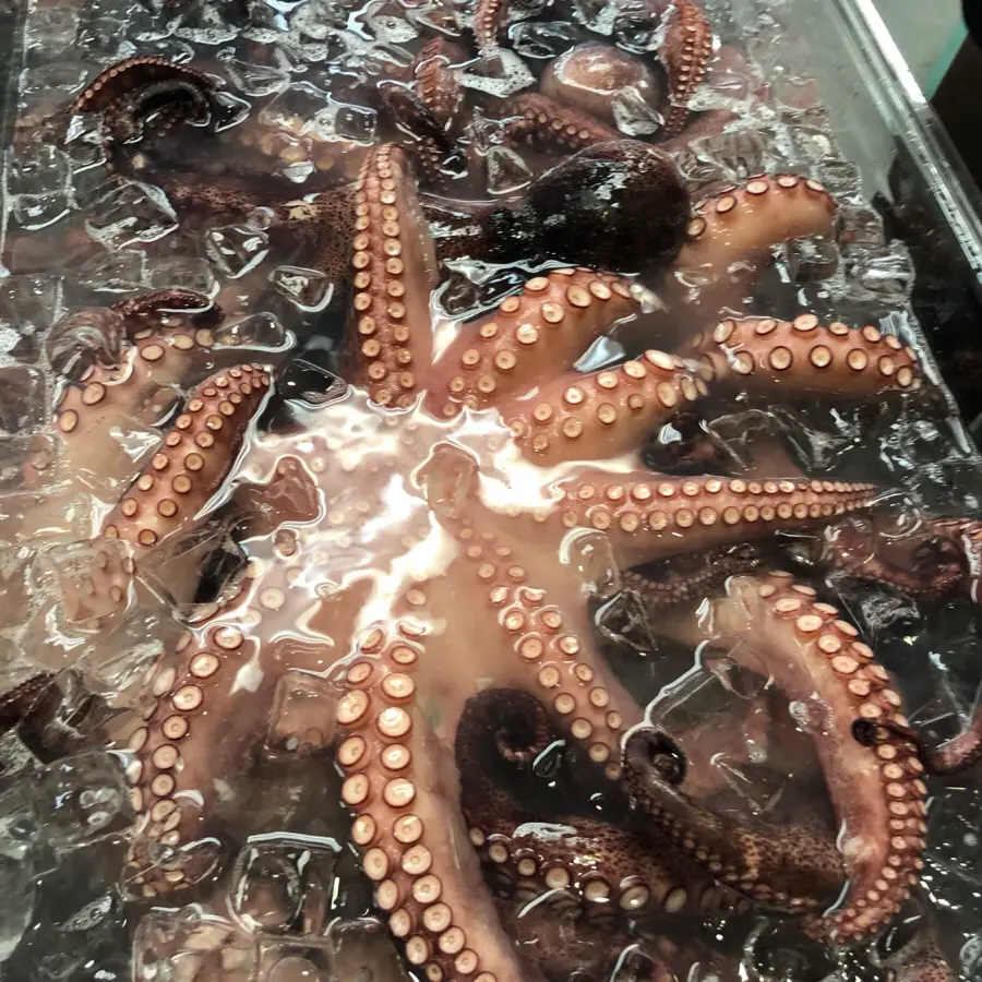 creation thumb for Good ol’ octopus