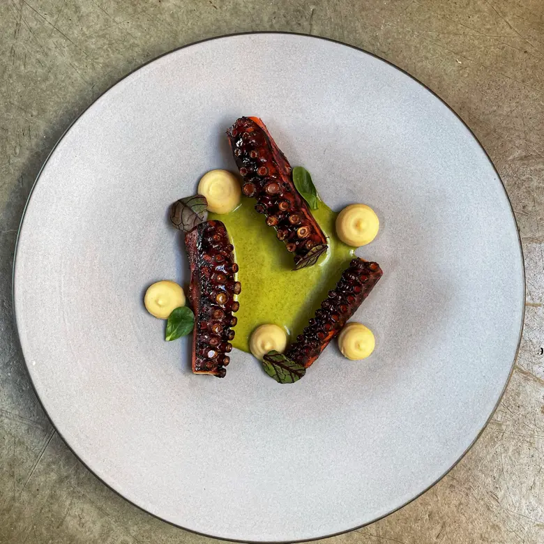 creation thumb for Polpo, purea di fagioli al cumino, vinaigrette di portulaca