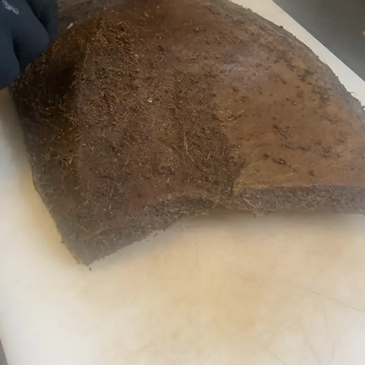 creation thumb for Tuna bacon