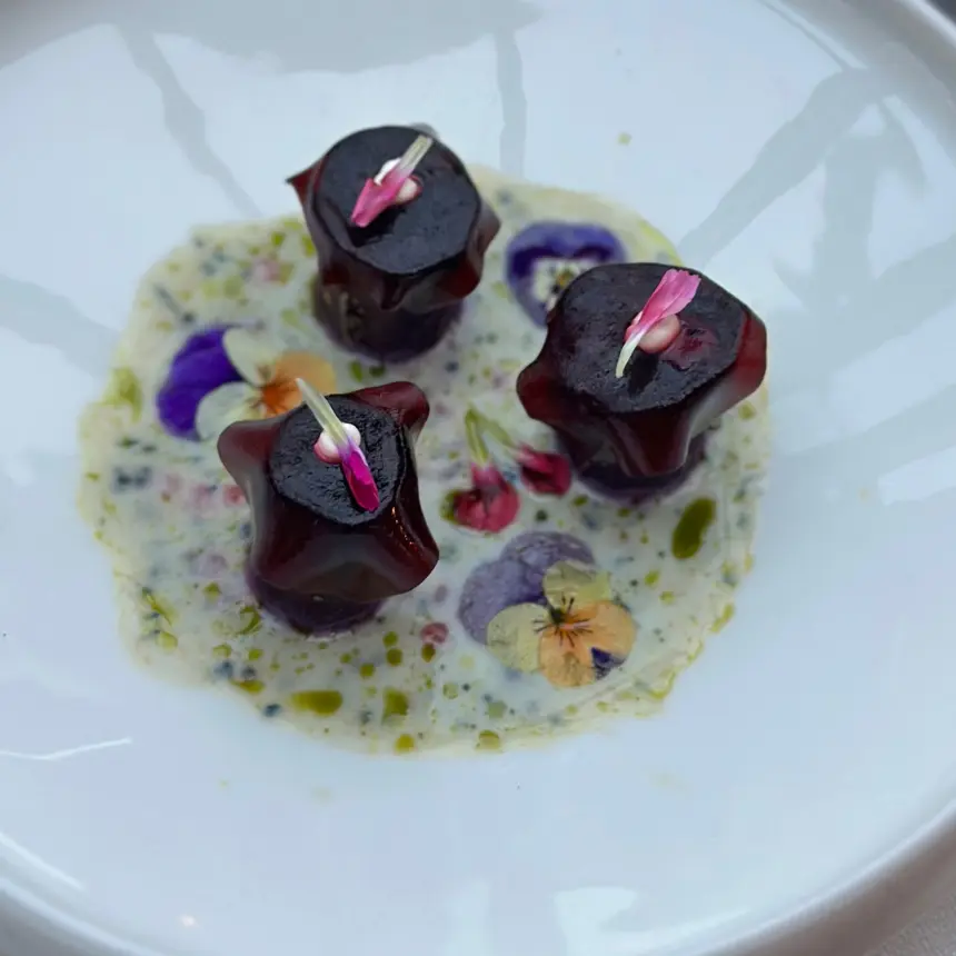 creation thumb for Beetroot Veıl