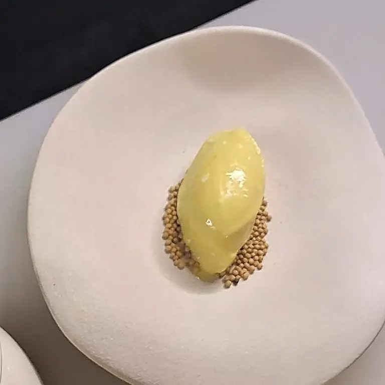 creation thumb for Mustard gelatto
