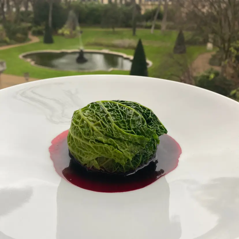 creation thumb for Stuffed cabbage, beet juice as a meat juice