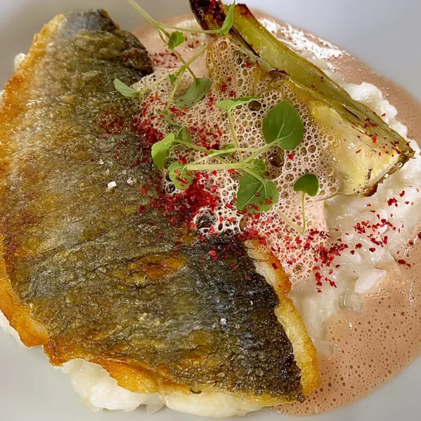 creation thumb for Sea bream, fennel risotto, grilled fennel and pink pepper emulsion