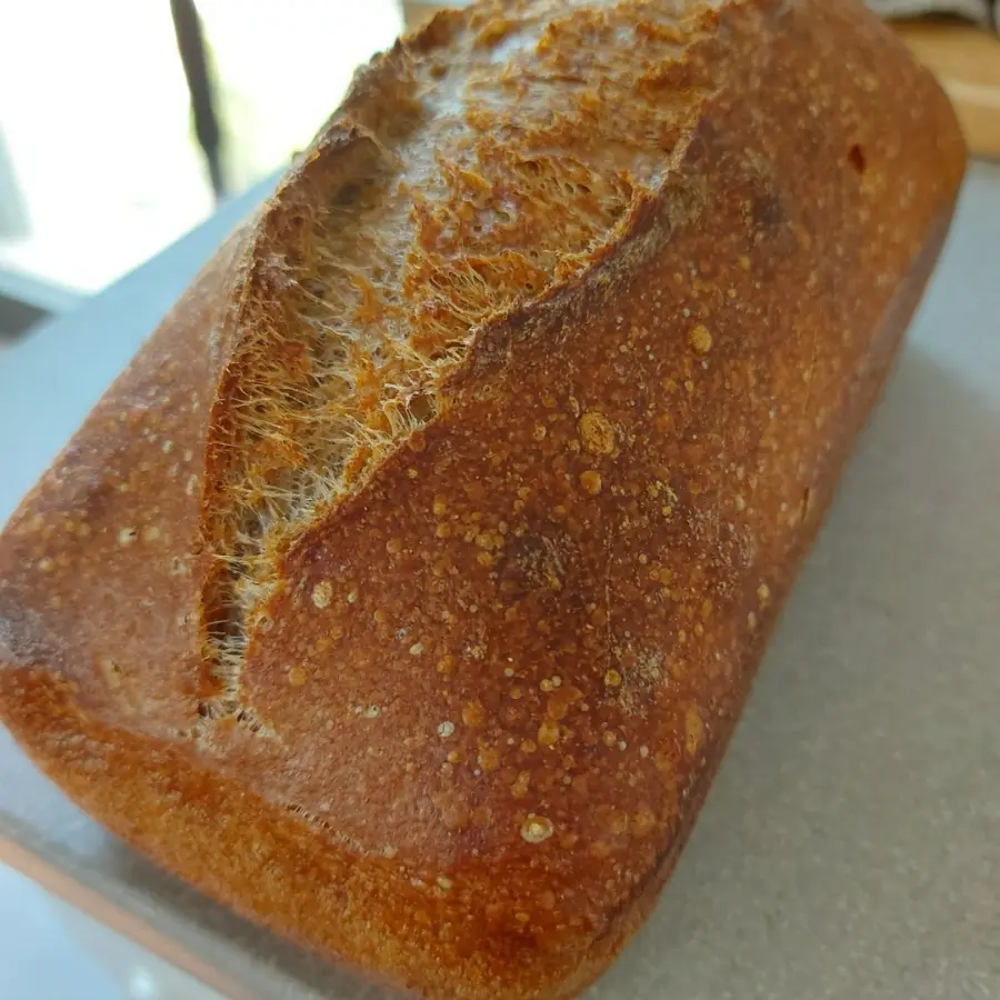 creation thumb for Bread