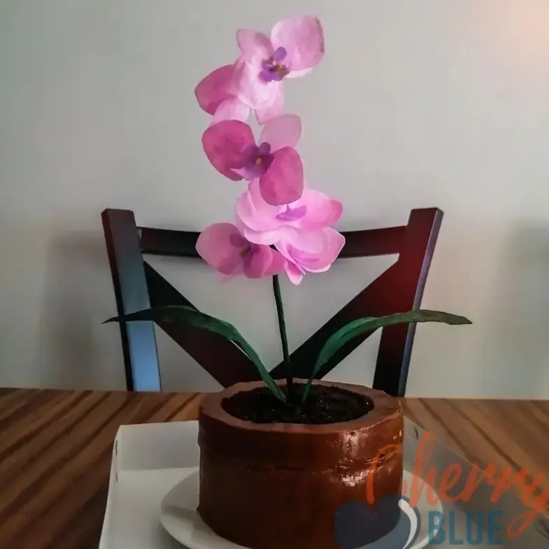 creation thumb for Gâteau décoré d'orchidées
