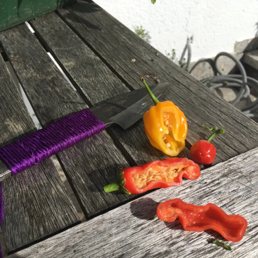 creation thumb for Chili