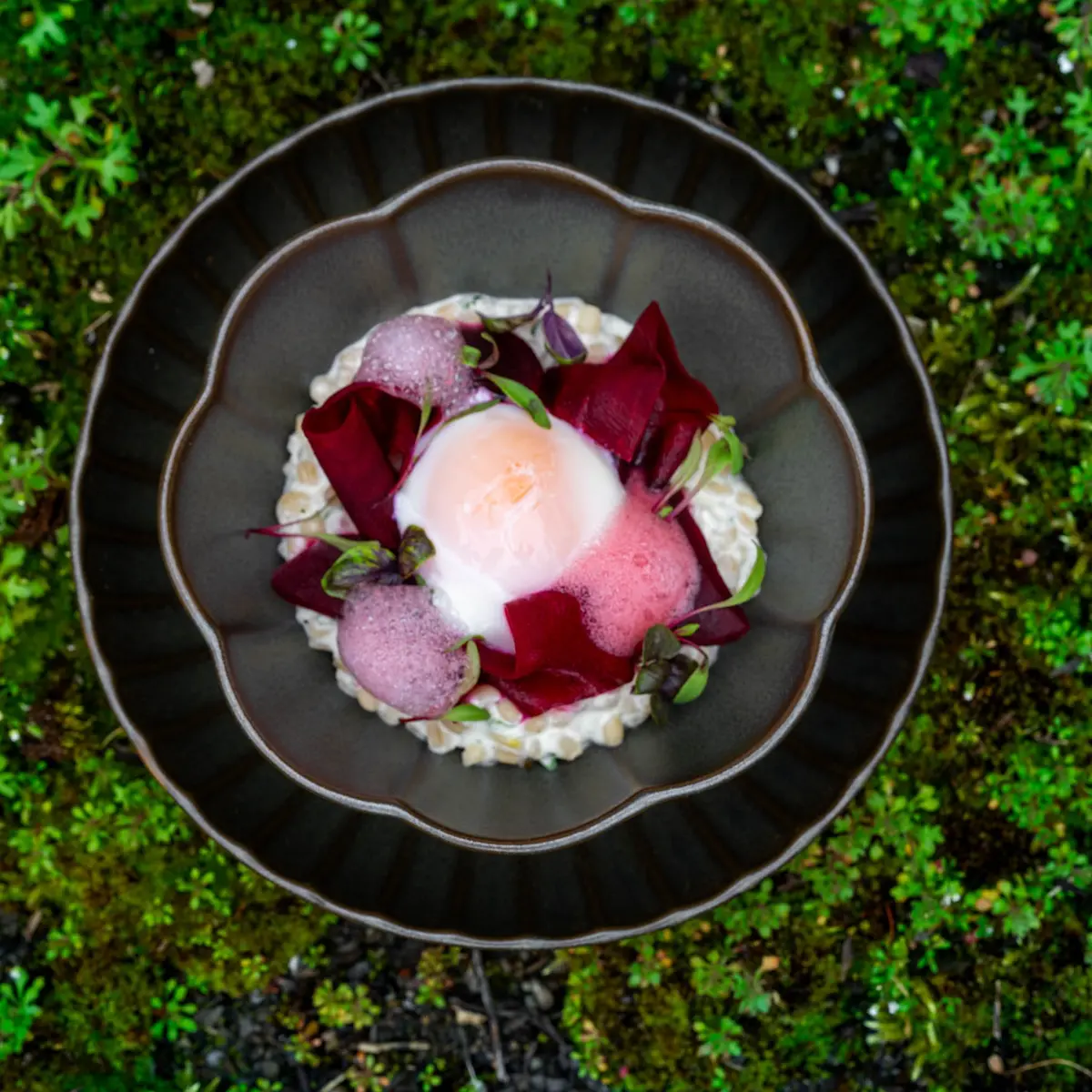 creation thumb for Onsen egg / beetroot / rolled barley