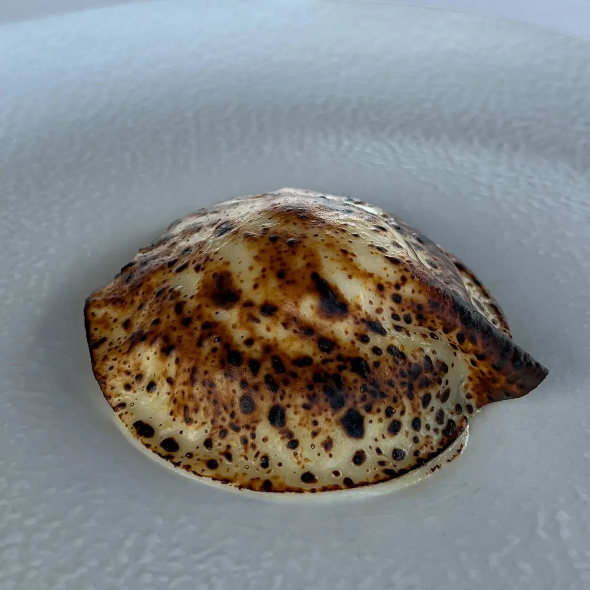 creation thumb for Raviolo Maremmano