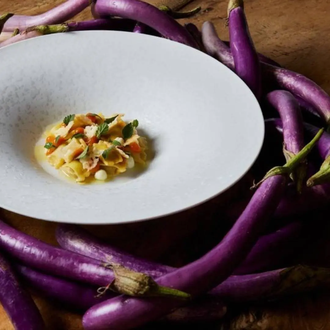 creation thumb for The Vegetarian Raviolino