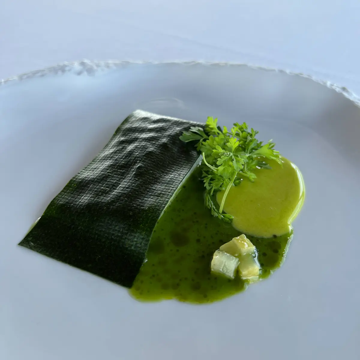 creation thumb for Green John Dory