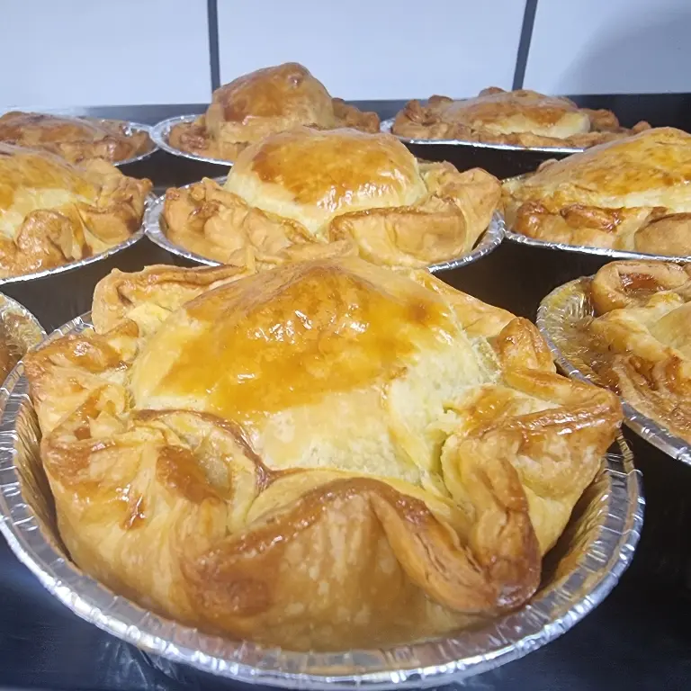 creation thumb for Chicken and leek pie