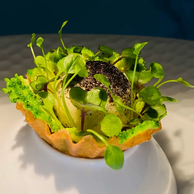 creation thumb for Broccoli tartlet with pistachios
