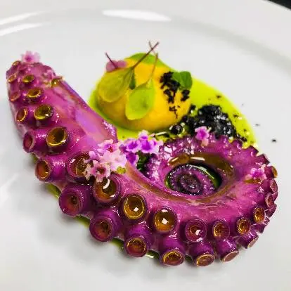 creation thumb for Oktopus mit Rotkohl, Kochbananenpüree, getrockneten Oliven.