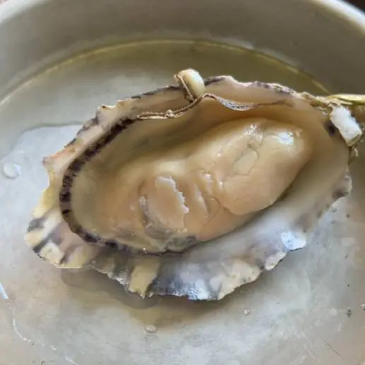creation thumb for Oyster Papillote