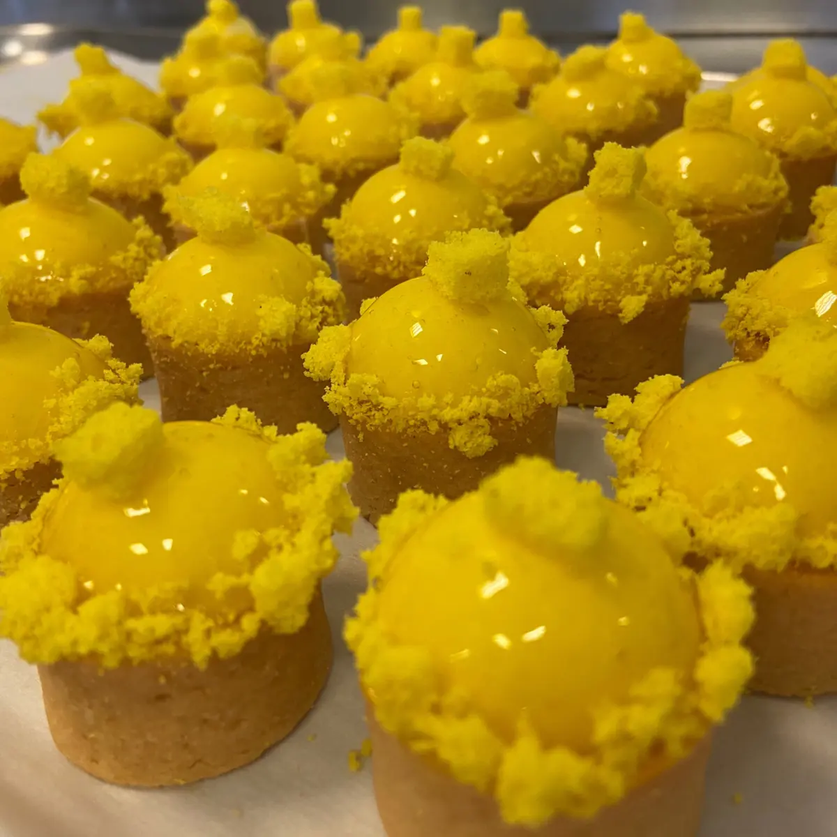 creation thumb for Mimosa tart