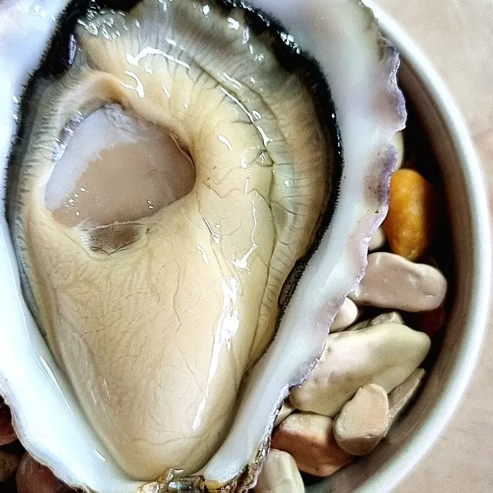 creation thumb for How to open an oyster