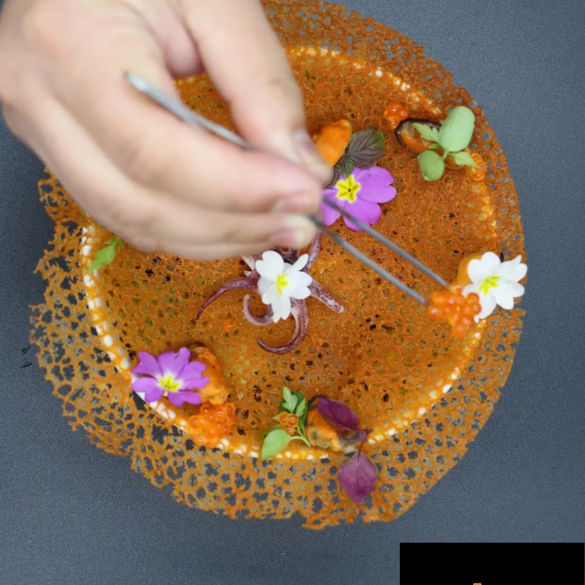 creation thumb for Risotto Frutti di Mare