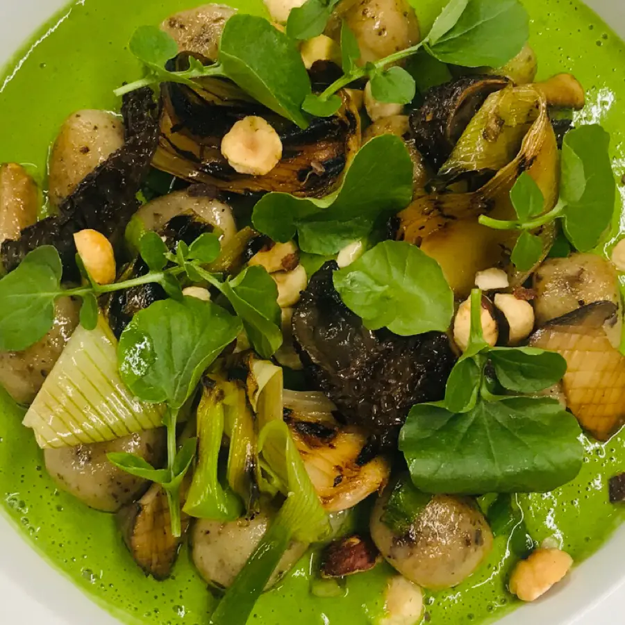 creation thumb for Vegan: Haselnussgnocchi/Bundzwiebel/Morchel/Brunnenkresse
