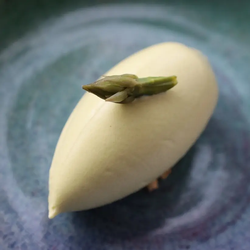 collection background
