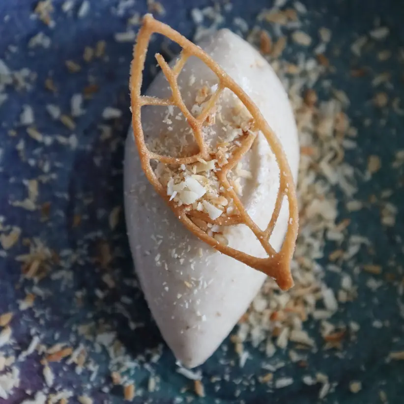 creation thumb for Vegan Coconut Sorbet 🥥