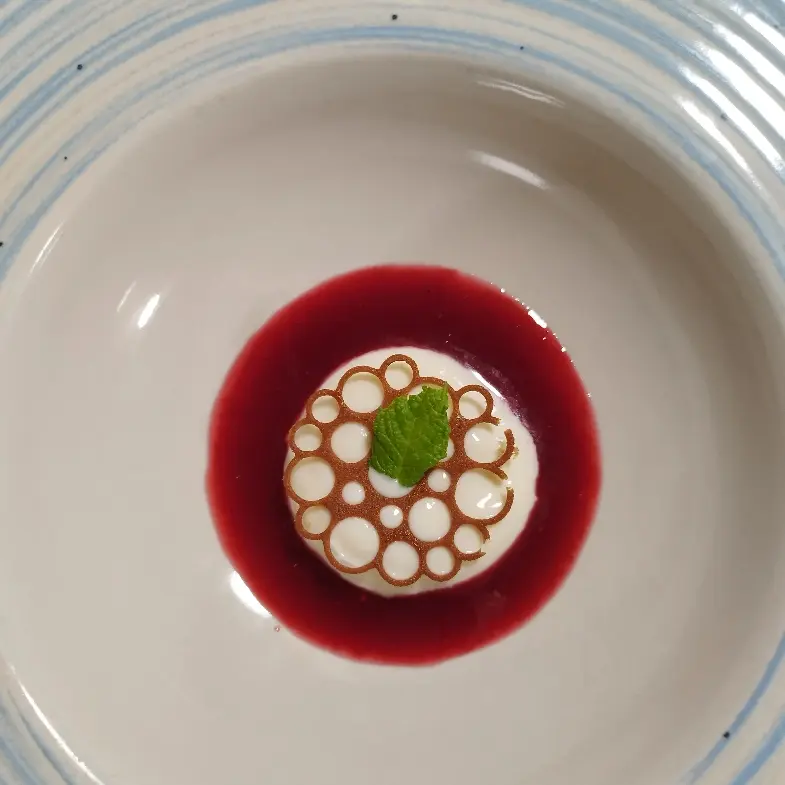 creation thumb for Panna cotta in rasberry and gin souce