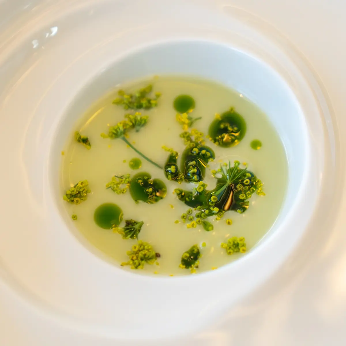creation thumb for Fennel and Almond Leche de Tigre