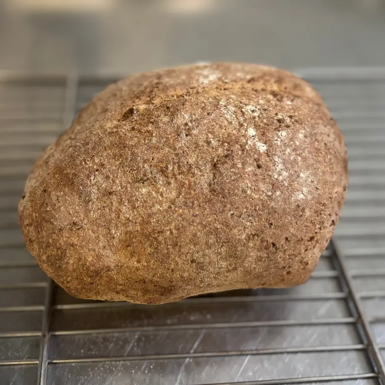 creation thumb for Whole Wheat Seed Bread (Ready in 4 Hours)