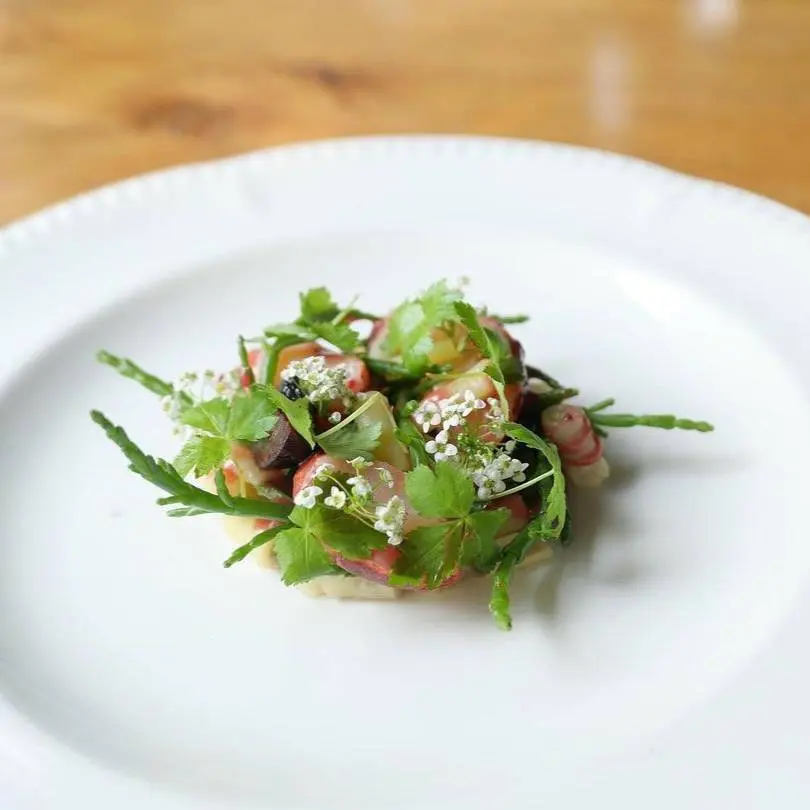 creation thumb for Audresselle Lobster, Butter Beans, Salicornia & Montmorency Vinaigrette