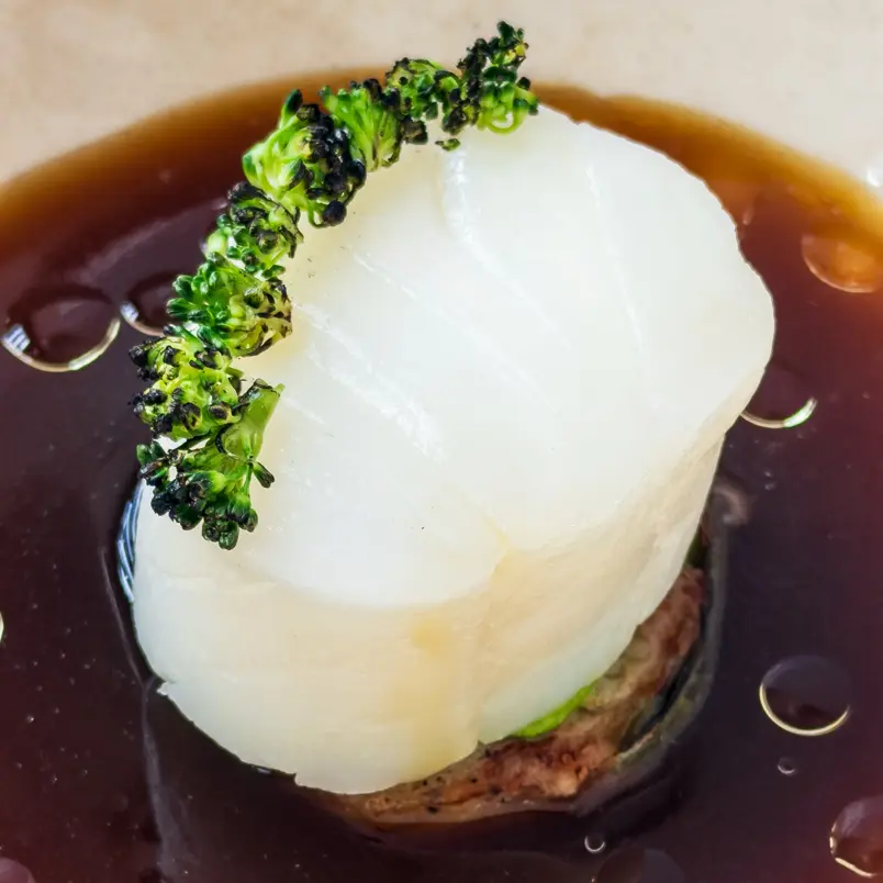 creation thumb for Cod | Cabbage forcemeat | Brocoli | Colagenous sauce